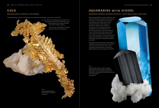 Cannot view this image? Visit: https://www.miningstockeducation.com/wp-content/uploads/2024/11/230009_pages_22-23_gold__aquamarine_with_schorl_low_res_550.jpg
