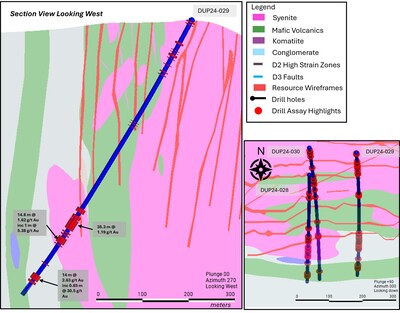Figure 3: Buzz Zone highlighting DUP24-029 targeting the potential mineralization continuity of the target towards the east. Significant intercepts are highlighted downhole, with higher-grade zones identified along brecciated altered mineralized syenite units. The cross section is looking west. (CNW Group/First Mining Gold Corp.)
