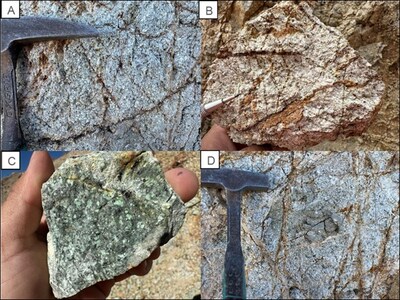 Figure 3. Photos of rock samples collected from the La Verde open pit. A) Tonalitic porphyry B) Tonalitic porphyry with quartz and hematite veins, C) Pre-mineral dioritic porphyry, D) Pre-mineral dioritic porphyry with quartz veins and wallrock xenolith (CNW Group/Hot Chili Limited)