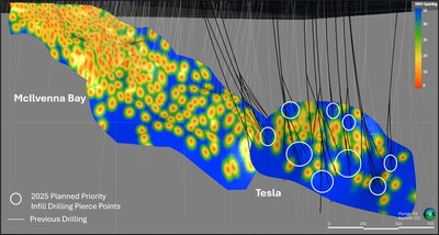Figure 1 – Longitudinal cross section across the McIlvenna Bay Deposit and the adjacent Bridge and Tesla Zones showing the current density of drilling (pale grey traces), along with the target areas (white circles) and the planned drill holes (black Traces) for the winter 2025 program (CNW Group/Foran Mining Corporation)