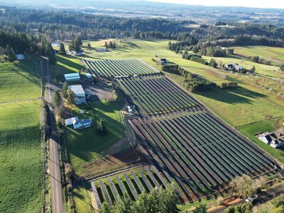 The Auburn Solar project in Clackamas County
