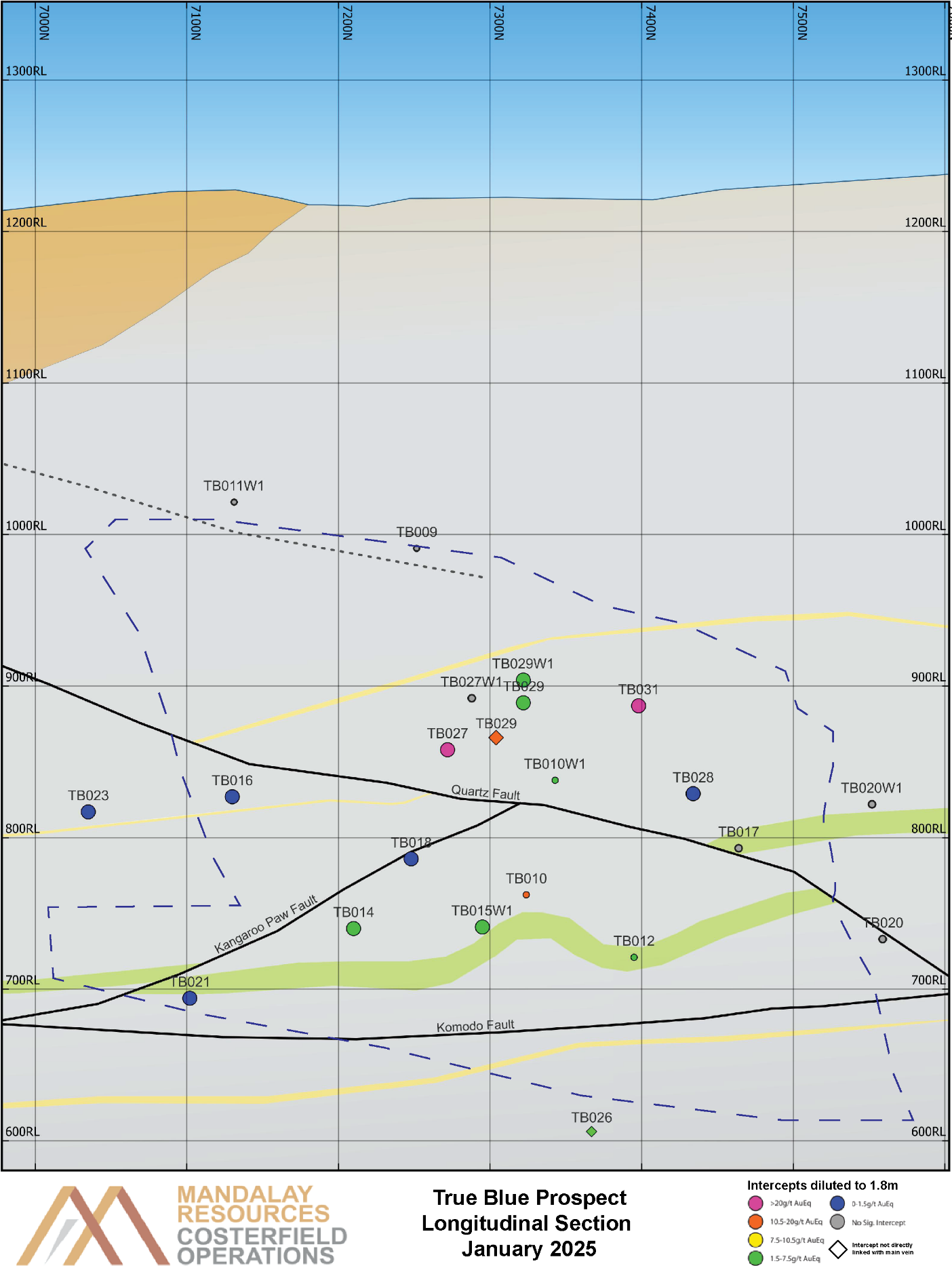 Longitudinal section of the most continuous veinset interpreted from the True Blue drilling data.