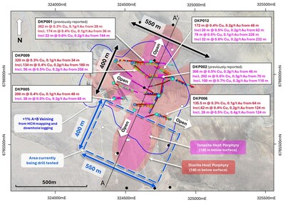 Figure 3. Plan view slice at 950 RL (± 50 m clipping) of tonalitic (pink polygon) and dioritic porphyry (red polygon) intrusions. Returned Cu grades graphed downhole.  Area to be tested with remaining RC program outlined by the dashed blue box. (CNW Group/Hot Chili Limited)