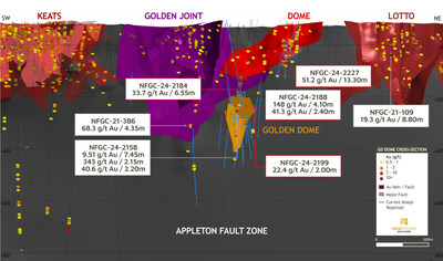 Figure 8: 3D longitudinal section, +/-50m (looking west) (CNW Group/New Found Gold Corp.)