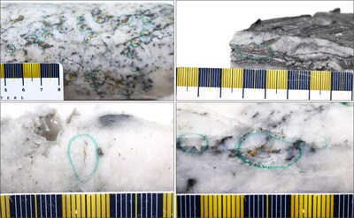 Figure 1: Photos of mineralization at Golden Dome and Dome, Top Left: at ~504.7m in NFGC-24-2188, Top Right: at ~231m in NFGC-24-2184, Bottom Left: at ~189.4m in NFGC-24-2230 and Bottom Right:  at ~171.5m in NFGC-24-2227. ^Note that these photos are not intended to be representative of gold mineralization in NFGC-24-2184. NFGC-24-2188, NFGC-24-2227 and NFGC-24-2230. (CNW Group/New Found Gold Corp.)