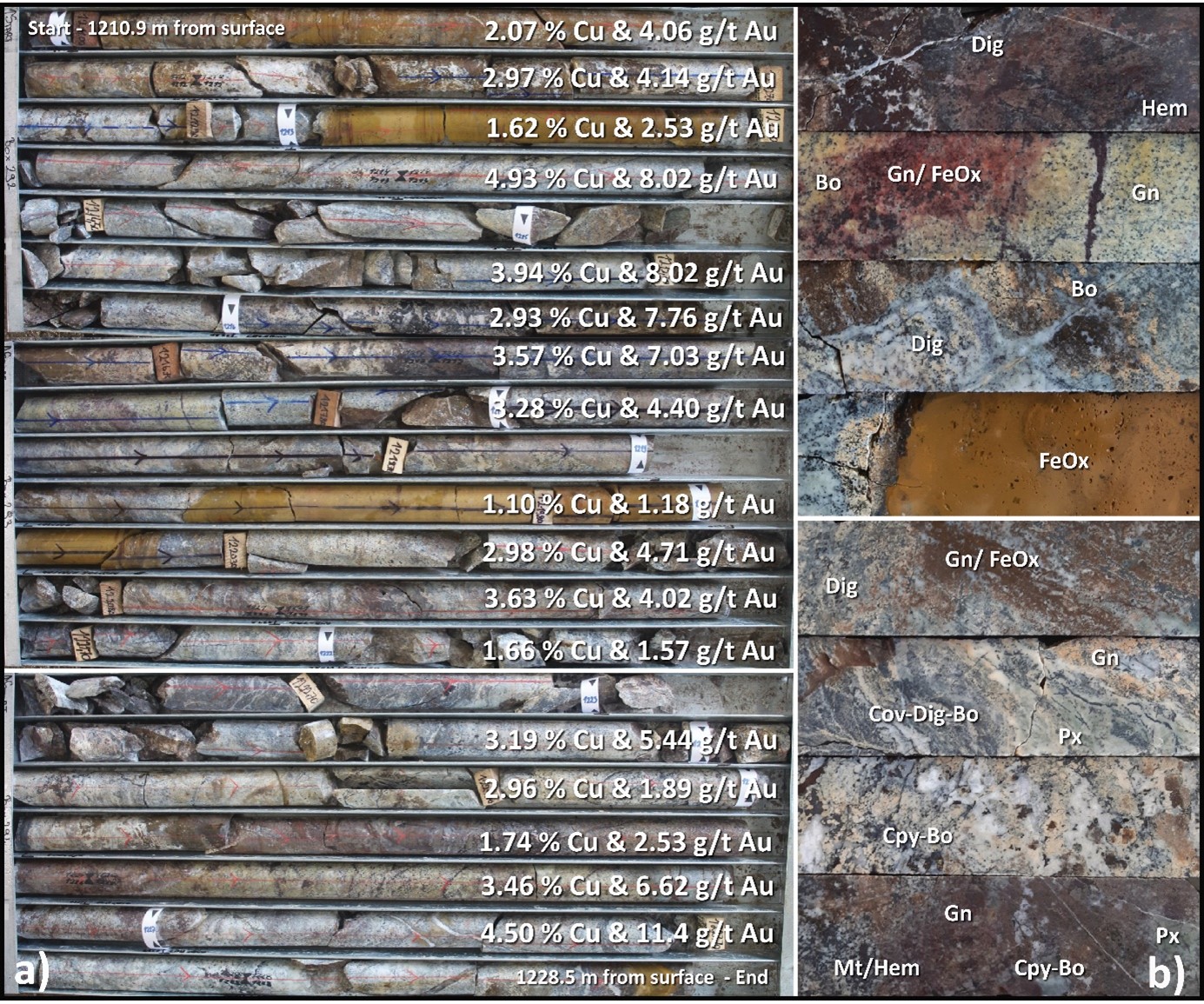 Images showing the core photos of copper-gold-silver skarn mineralization from hole DPDD026, taken from within the interval reporting 38 metres at 2.59% Cu, 4.05 g/t Au and 17 g/t Ag from 1,195 metres downhole.