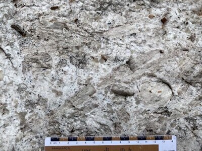 Figure 4: Large, light grey spodumene crystals at the CV15 Pegmatite in a matrix of feldspar, smoky quartz, and minor mafics. (CNW Group/Patriot Battery Metals Inc.)