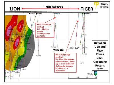 Figure 5 – The area between Lion and Tiger (700m of strike) with recent drill intersections (assays pending). (CNW Group/Power Metallic Mines Inc.)