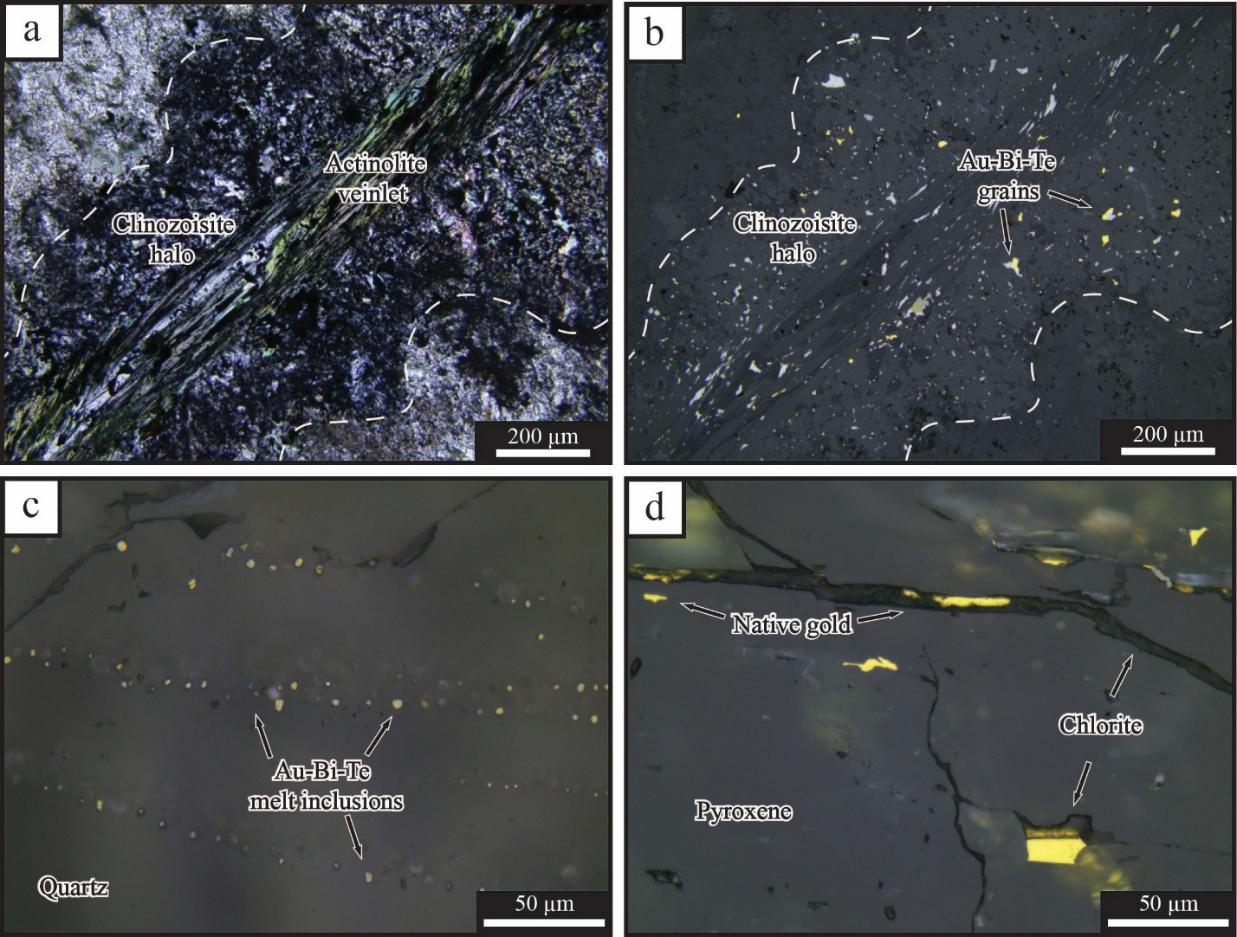 Microphotographs of gold assemblages and associated alteration found at Surebet. a. Transmitted light image of the gold bearing actinolite veinlet with clinozoisite halo associated with early gold mineralization. b. Reflected light image of actinolite veinlet from frame a. showing the association between the gold-bismuth-tellurium grains, actinolite, and clinozoisite. c. Reflected light image of early-stage gold-bismuth-tellurium grains which were entrapped as a melt and healed along a microfracture in quartz. d. Reflected light image of late gold and associated chlorite cutting pyroxene.