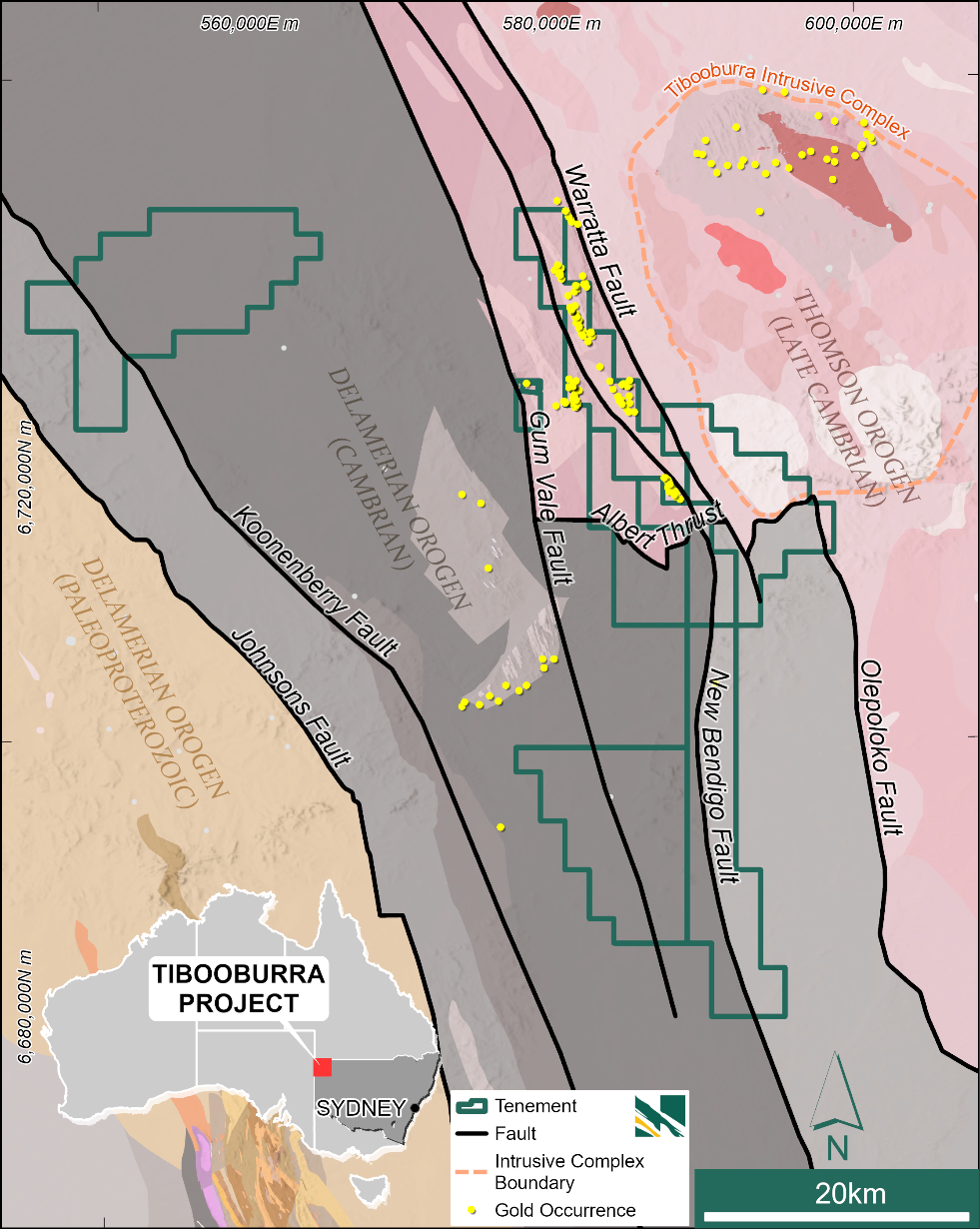 Figure 3:. Geology of the Tibooburra project tenements highlighting the Albert Goldfields at the boundary of the Thomson and Delamarian orogens wrapping around the west side of a cluster of large granite intrusions to the east