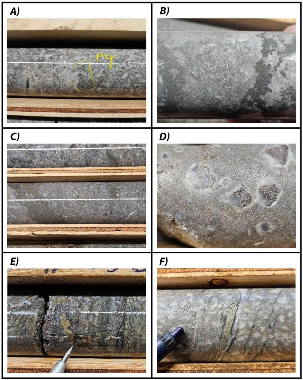 Examples of quartz-sericite-pyrite alteration and mineralization. A) Quartz-sericite-pyrite altered andesitic volcanics. Pyrite as disseminations and blebs (DD25CYP001 – 213.3 m). B) Abundant fine disseminated pyrite within strongly quartz-sericite altered andesites (DD25CYP001 – 229.9 m). C) Abundant disseminated to semi-massive pyrite within strongly quartz-sericite altered andesites (DD25CYP001 – 373.3 m). D) Abundant fine disseminated pyrite replacing groundmass and at silica replacement sites (DD25CYP001 – 229.5 m).  E) Blebby pyrite within silica-sericite altered andesite (DD25CYP003 - 243.2 m). F) Pyrite stringers in silica-sericite altered feldspar porphyry andesite (DD25CYP002 – 362 m).