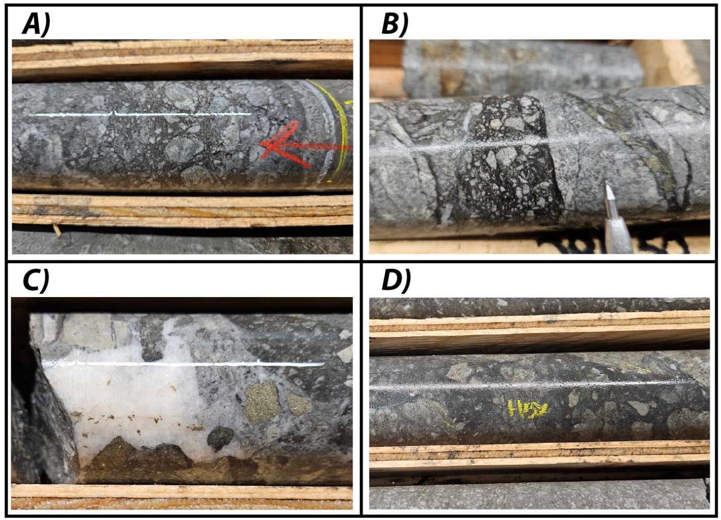 Examples of hydrothermal breccia encountered in February/March 2025 drilling. A) Hydrothermal breccia with milled clasts of quartz and pyrite (DD25CYP003 – 331.5 m). B) Hydrothermal breccia with silica and pyrite cement (DD25CYP002 – 284.3 m). C) Multi-phase hydrothermal breccia with dark grey silica-pyrite groundmass with carbonate cement and pyrite clasts (DD25CYP001 – 351.7 m). D) Hydrothermal breccia with silica-pyrite matrix (DD25CYP001 – 377.1 m)