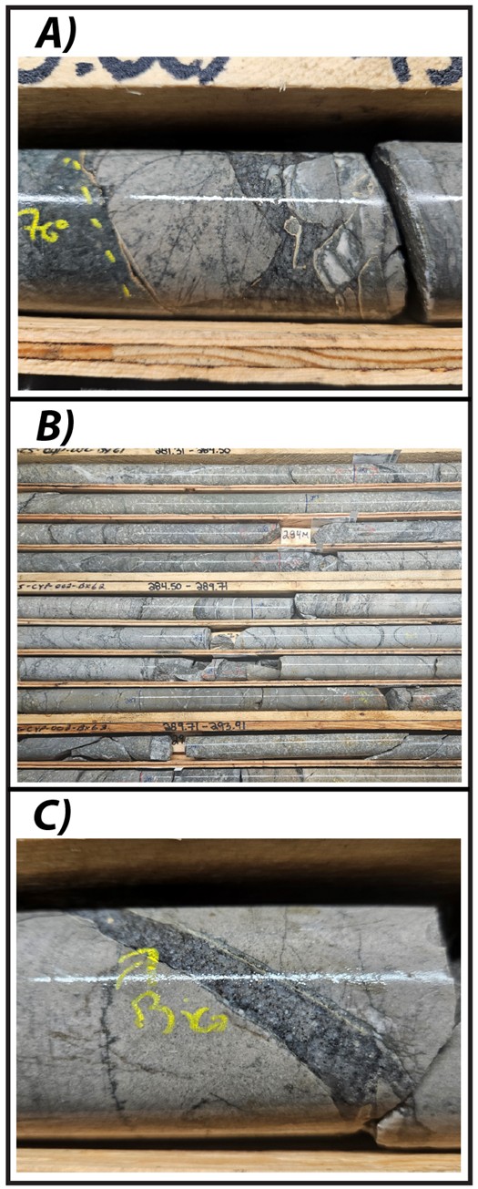Examples of intrusions from February/March 2025 drilling.  A) Intrusive breccia with strongly silica-sericite-pyrite altered clasts intruded by biotite-feldspar porphyry (DD25CYP003 – 453.3 m).  B) Monzonitic intrusive rocks with sooty pyrite veining (DD25CYP002 – 281 to 292 m).  C) Biotite-felspar porphyry dikelet with strongly silica-sericite-pyrite altered wallrock (DD25CYP003 – 453.5 m).