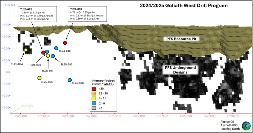 Long section showing recent drillhole intercepts at Goliath Deposit (viewed looking north)