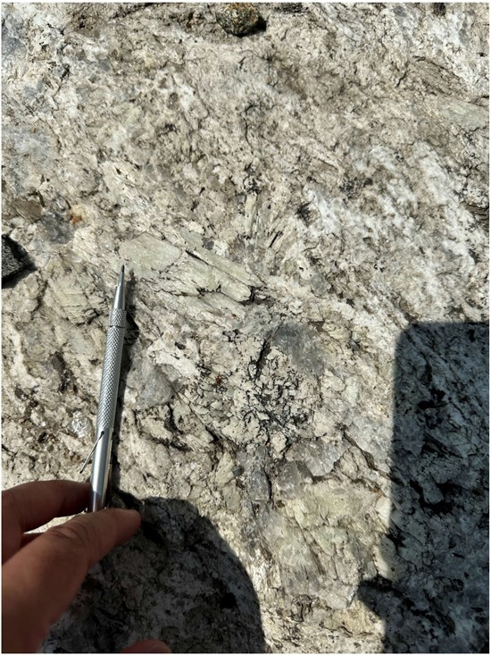 Cannot view this image? Visit: https://www.miningstockeducation.com/wp-content/uploads/2025/05/250940_figure2_550.jpg