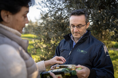 Bertolli olive grove