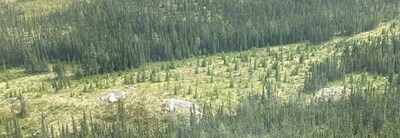 Figure 33: Spodumene pegmatite outcrop at CV13 (looking southerly). (CNW Group/Patriot Battery Metals Inc.)