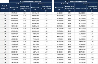 Table 3: Sensitivity Analysis for the Shaakichiuwaanaan MRE. (CNW Group/Patriot Battery Metals Inc.)