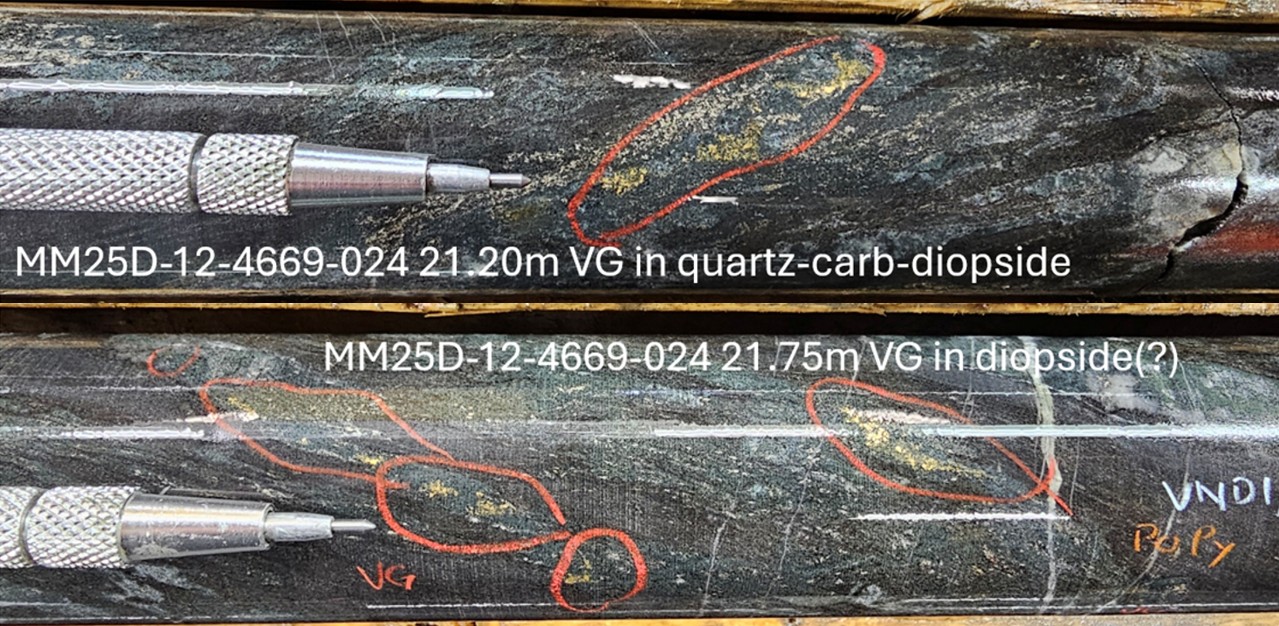 Figure 1_VG_pic