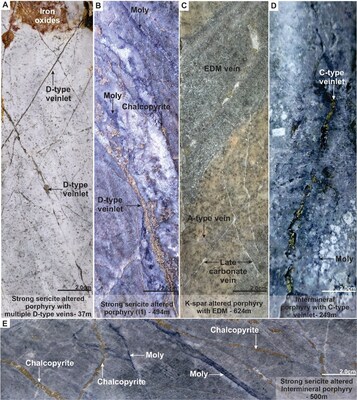 Figure 3. Mineralization and hydrothermal alteration observed in MD-047. A). Strong sericite altered dacite porphyry with multiple D-type veinlets and patchy iron oxides. B). D-type (pyrite) veinlet reopened space of a B-type veinlet. C). Potassic altered porphyry with EDM (Early Dark Micaceous) crossing early A-type veinlets. D). C-type (Chalcopyrite) veinlet in an intermineral porphyry unit. E). Chalcopyrite veinlets (C-type) crossing early B-type veins (Moly). Note: Molybdenite (Moly). (CNW Group/COPPER GIANT RESOURCES CORP.)
