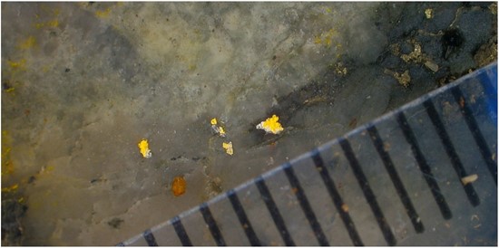 Cannot view this image? Visit: https://www.miningstockeducation.com/wp-content/uploads/2025/07/257509_forge72fig3_550.jpg