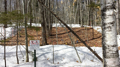 CCASE plot in the Forest