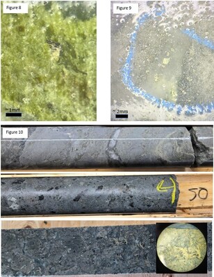 Figure 8. Tabular and striated crystal believed to be calaverite hosted in epidote and quartz  from drill-hole 25RC-32
Figure 9. Tabular and striated crystal believed to be calaverite embedded in quartz from 48m in drill-hole 25RC-33
Figure 10 Examples of various mineralized hydrothermal intervals including an amorphous silica vein with abundant fine sulphides from drill-hole 25RC-24 (Figure 10a); hydrothermal breccia in a dark siliceous matrix with fine marcasite and coarser pyrite. (CNW Group/Northern Shield Resources Inc.)