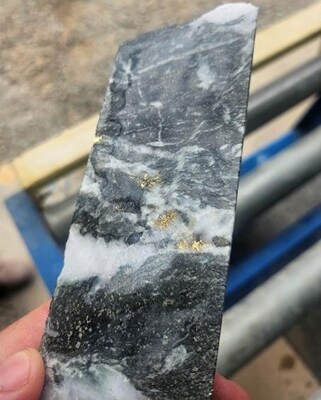Plate 1: Visible gold in hole 25BLDD001 targeting the Polar Star lodes (Bluebird – South Junction mine) from an interval of 3.03m at 157.10g/t Au from 270.00m (CNW Group/Westgold Resources Limited)