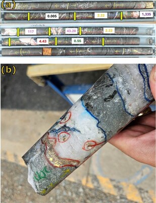 Figure 3: Hole 25BLDD001 targeting the Polar Star lodes (Bluebird – South Junction mine) showing (a) interval of 3.03m at 157.10g/t Au from 270.00m and (b) example of visible gold from the interval (CNW Group/Westgold Resources Limited)