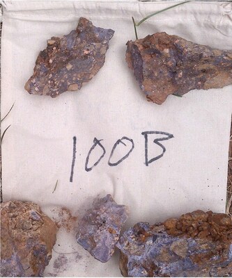 Figure 1 – Company’s Gallinas 2025 Breccia Sampling Program (CNW Group/Black Mammoth Metals Corp)