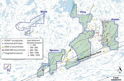 Figure 2. Planned VTEMTM flight lines for The Woods Projects (CNW Group/Fortune Bay Corp.)