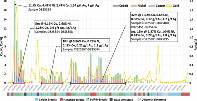 Figure 2 – Channel sample Cu, Ni, Co and Au assay content and geology (CNW Group/Pan Global Resources Inc.)