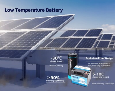 Wiltson Low-Temperature LFP Battery