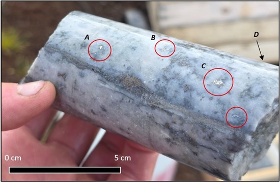 Cannot view this image? Visit: https://www.miningstockeducation.com/wp-content/uploads/2025/09/268483_5f17bcd984538af8_001.jpg
