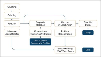Figure 4: Queensway PEA processing flowsheet. (CNW Group/New Found Gold Corp.)