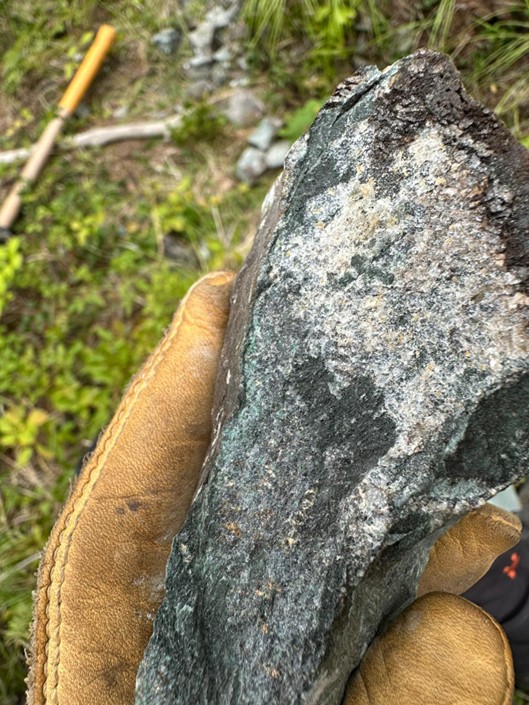 Sample 326361 displaying disseminated malachite mineralization as well as blebby pyrite and chalcopyrite. Analytical results are pending. 578894m Easting,  5488138m Northing, UTM NAD83 Zone 11N.