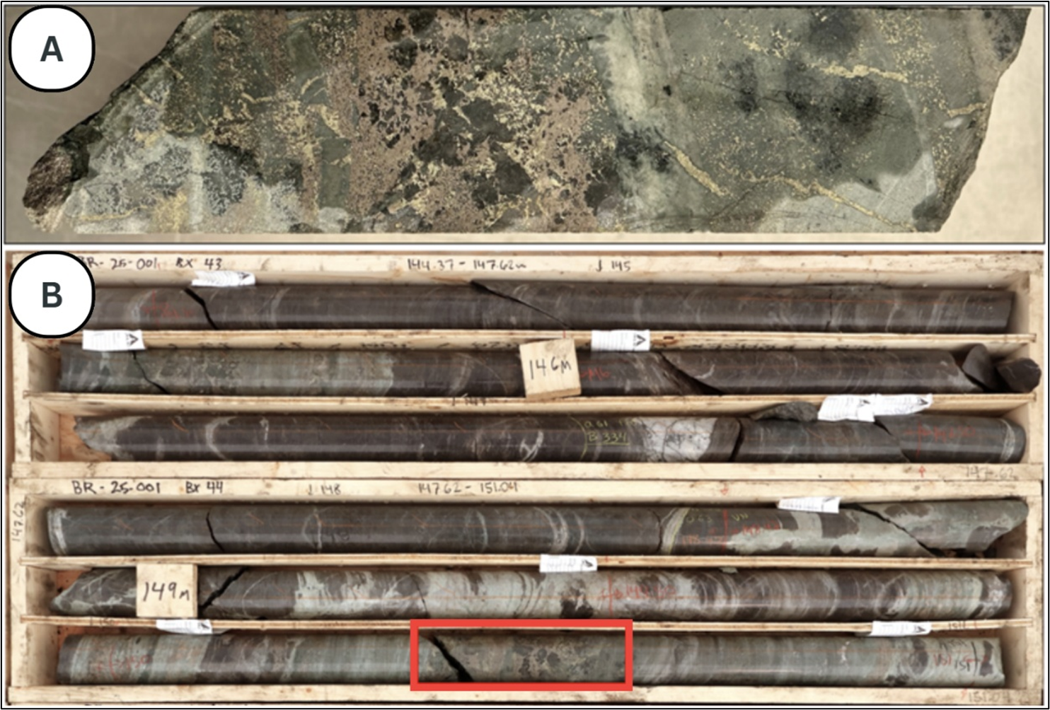 Hole BR25-001 at 149m. (A) Closeup of massive pyrrhotite > chalcopyrite within skarn horizon. (B) Mineralization within the skarn unit consists of zones of massive sulphides as well as less intense foliaform chalcopyrite.