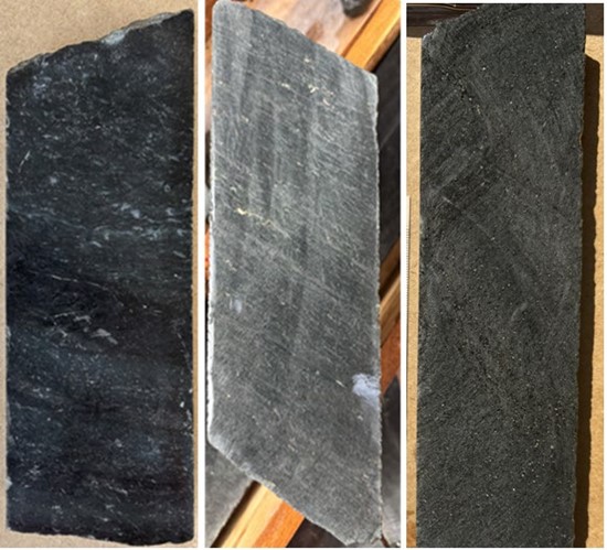 Cannot view this image? Visit: https://www.miningstockeducation.com/wp-content/uploads/2025/10/269412_meridian_550.jpg