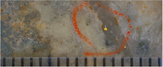 Cannot view this image? Visit: https://www.miningstockeducation.com/wp-content/uploads/2025/10/270503_forgefig5_550.jpg