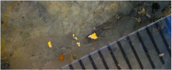 Cannot view this image? Visit: https://www.miningstockeducation.com/wp-content/uploads/2025/10/270503_forgefig6_550.jpg