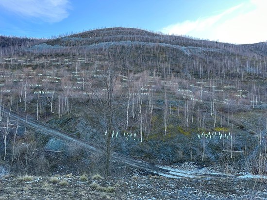 Cannot view this image? Visit: https://www.miningstockeducation.com/wp-content/uploads/2025/10/272153_cb2b025e9441bbe9_002.jpg