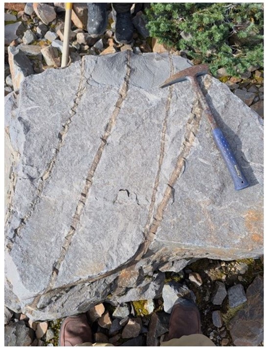 Cannot view this image? Visit: https://www.miningstockeducation.com/wp-content/uploads/2025/10/272168_goldstrike_6_550.jpg