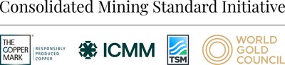 CMSI Logo CMSI Logo