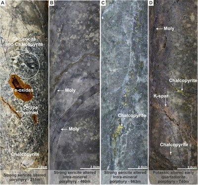 Figure 2. Mineralization and hydrothermal alteration observed in MD-051. A). Strong sericite-altered porphyry with chalcopyrite and chalcocite disseminated. B). Strong sericite-altered Intra-mineral porphyry with quartz-molybdenite (moly) veinlets. C). Strong sericite-altered Intra-mineral porphyry with quartz-chalcopyrite veinlets. D). Early-quartzdiorite porphyry with strong potassic alteration (K-spar) with quartz-molybdenite (moly) and chalcopyrite veinlets. (CNW Group/COPPER GIANT RESOURCES CORP.) Figure 2. Mineralization and hydrothermal alteration observed in MD-051. A). Strong sericite-altered porphyry with chalcopyrite and chalcocite disseminated. B). Strong sericite-altered Intra-mineral porphyry with quartz-molybdenite (moly) veinlets. C). Strong sericite-altered Intra-mineral porphyry with quartz-chalcopyrite veinlets. D). Early-quartzdiorite porphyry with strong potassic alteration (K-spar) with quartz-molybdenite (moly) and chalcopyrite veinlets. (CNW Group/COPPER GIANT RESOURCES CORP.)