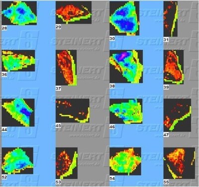 Scans of the 3D laser width responses. High Grade Vein (blue) and Gabbro (gray) (CNW Group/Soma Gold Corp.) Scans of the 3D laser width responses. High Grade Vein (blue) and Gabbro (gray) (CNW Group/Soma Gold Corp.)