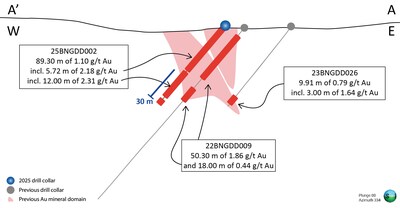 Figure 3 – Cross section showing results from drilling. Line of section is outlined in Figure 2. (CNW Group/Thesis Gold Inc.)