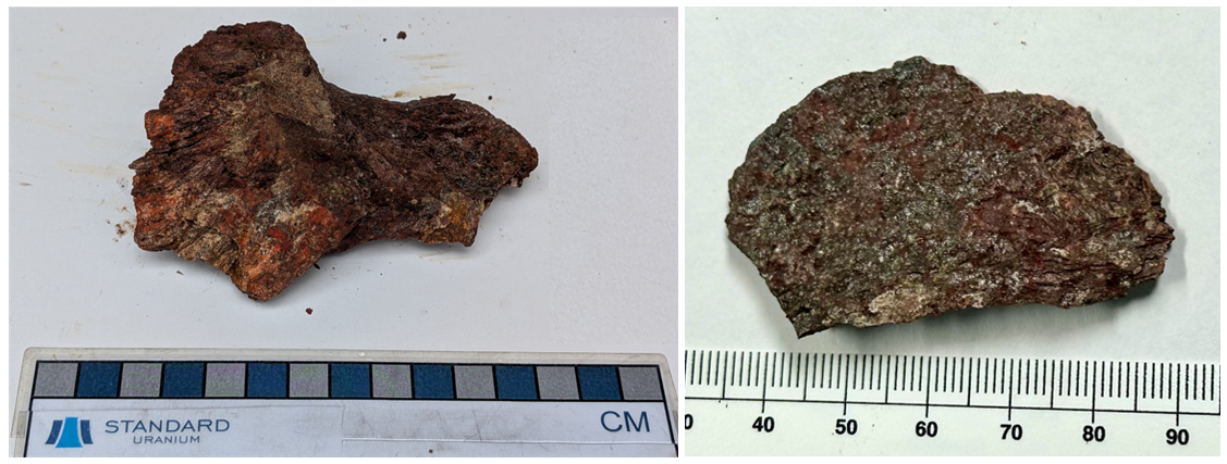 Manhattan Showing high-grade samples (Left) Hand sample 244959 – 5.14 wt.% U3O8 (Right) Hand sample 214010 – 8.10 wt.% U3O8.