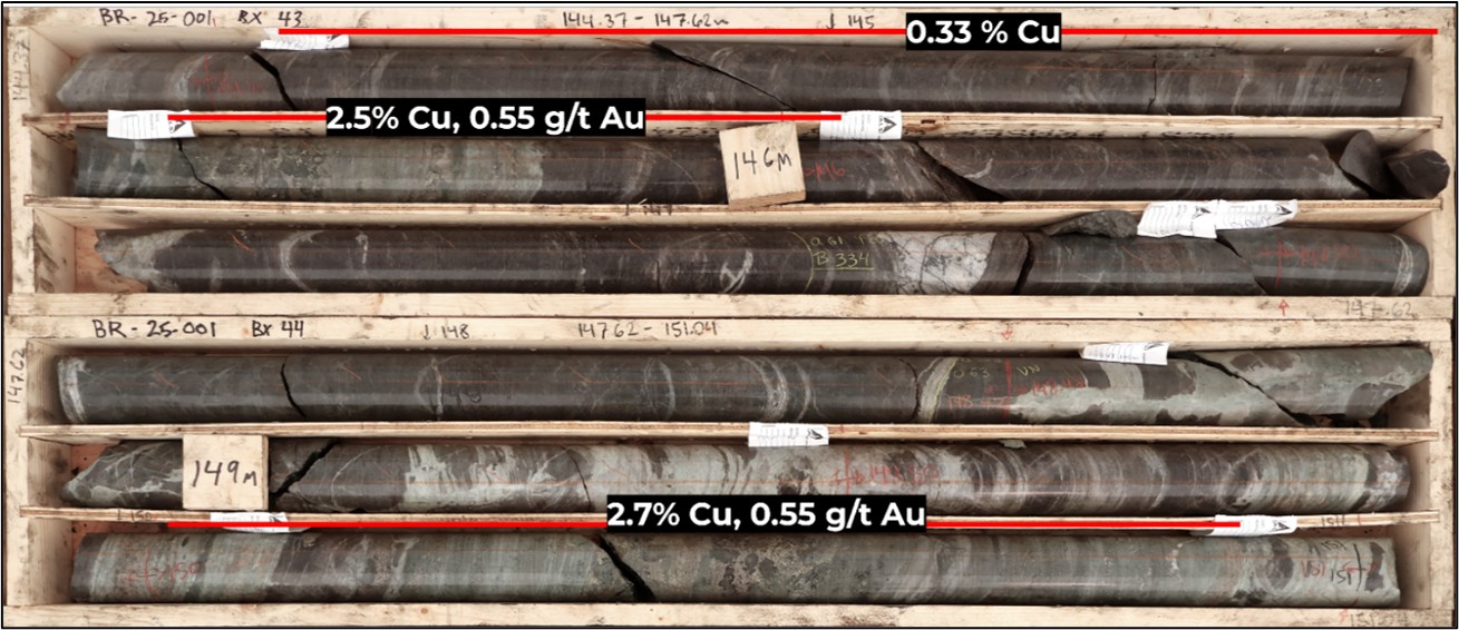 Hole BR25-001 from 144m. Massive pyrrhotite > chalcopyrite zones within skarn horizons hosting up to 2.7% Cu and 0.55 g/t Au.