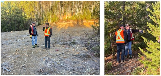 Cannot view this image? Visit: https://www.miningstockeducation.com/wp-content/uploads/2025/11/272902_ninemile_550.jpg