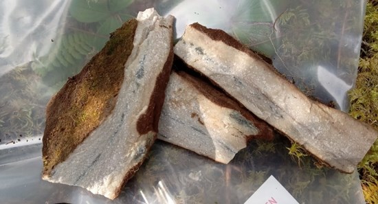 Cannot view this image? Visit: https://www.miningstockeducation.com/wp-content/uploads/2025/11/273056_adbe011d144cca4b_006.jpg